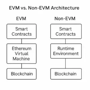 Architectural comparison showing how EVM chains share a common execution layer and RPC interface, while non-EVM blockchains use different virtual machines and access patterns.