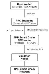 Diagram showing how a BNB Smart Chain wallet connects to the network through RPC endpoints, RPC nodes, and validator nodes.