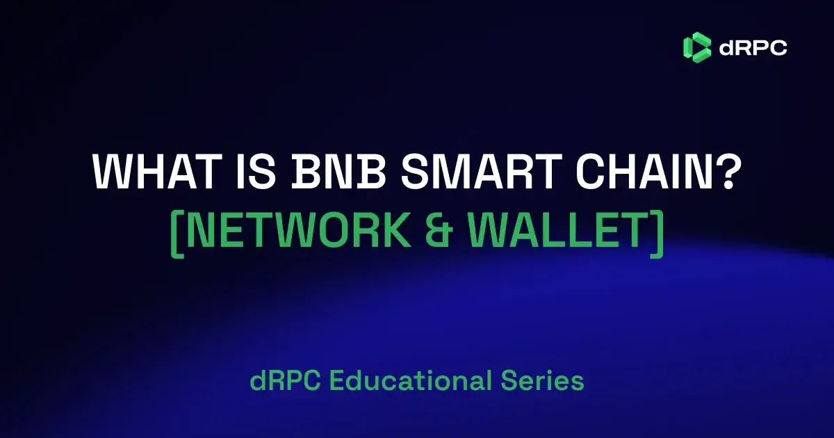 What Is BNB Smart Chain? [Introducing Network & Wallet]